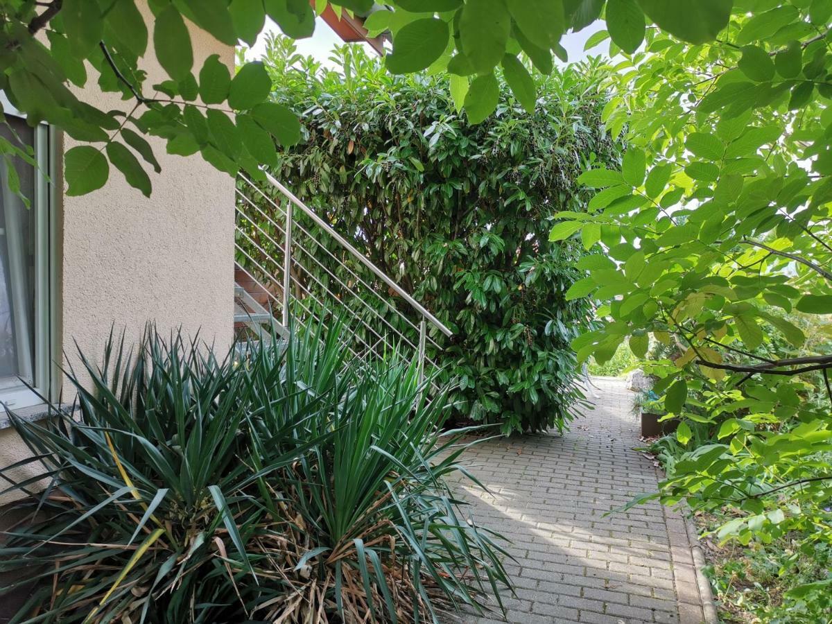 Apartment Am Horstberg แวร์นิกโกโรเดอ ภายนอก รูปภาพ